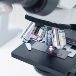 Стратегический анализ слота Gates of Olympus - математический подход