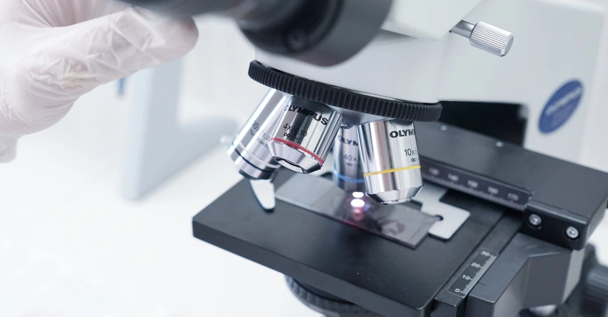 Стратегический анализ слота Gates of Olympus - математический подход