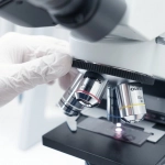 Рациональный анализ игровой механики Gates of Olympus Super Scatter