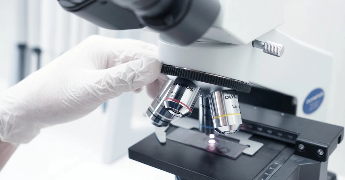 Рациональный анализ игровой механики Gates of Olympus Super Scatter